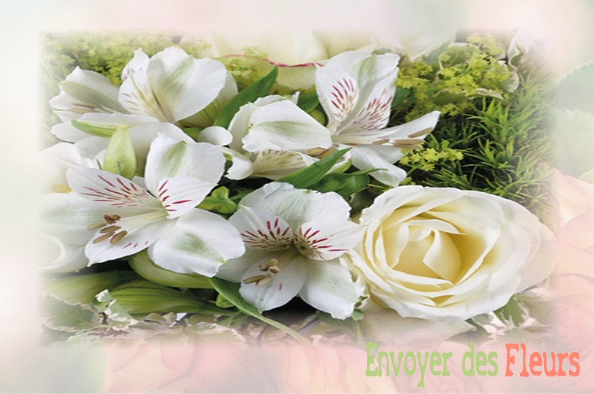 envoyer des fleurs à à SAINT-ETIENNE-AU-MONT